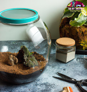 Terrarium