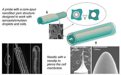 nanofiber-based probes — needles that are 10 times smaller in diameter than a human hair