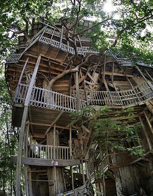 World’s Largest Tree House