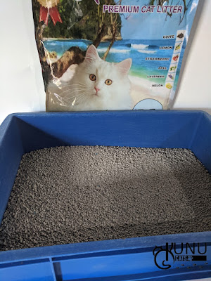 Jenis Pasir Bentonite Kucing yang Bagus