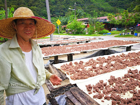 Belacan-Chop-Kim-Hoa-Penang-骆金和峇拉煎廠