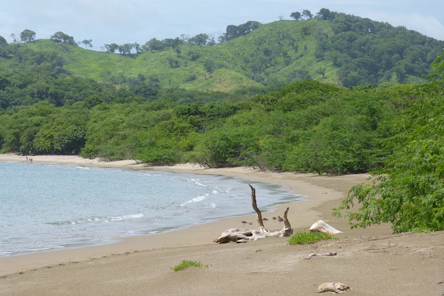 Bahía Junquillal