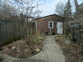 Paul Jung Gardening Services a Toronto Gardening Company Parkdale Spring Backyard Garden Cleanup Before