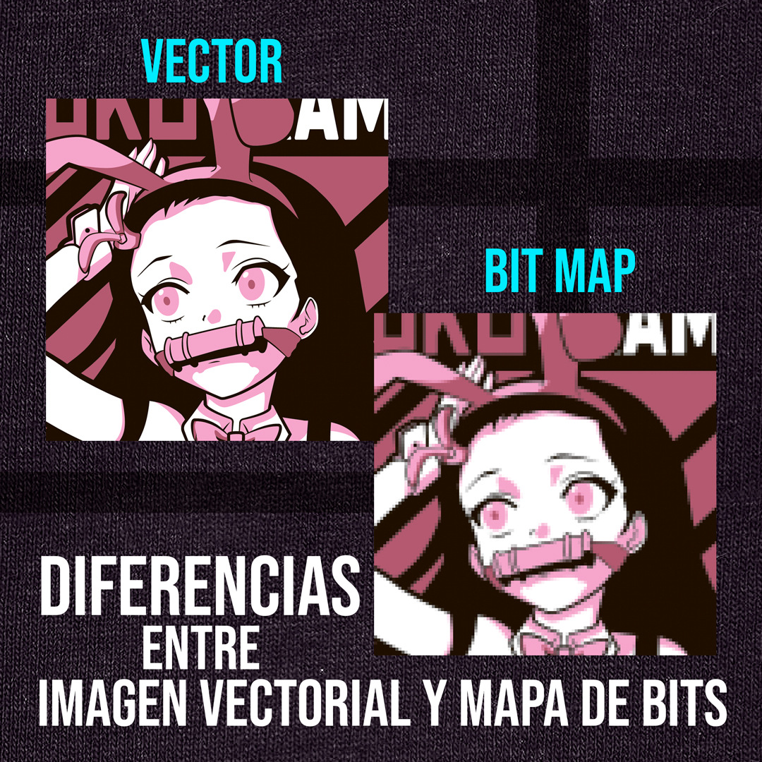 Diferencia entre imagen vectorial y mapa de bits