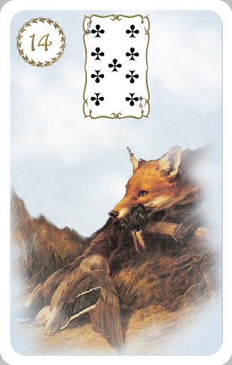 Destino e Tarô: Lenormand - Cartas Positivas, Negativas e 