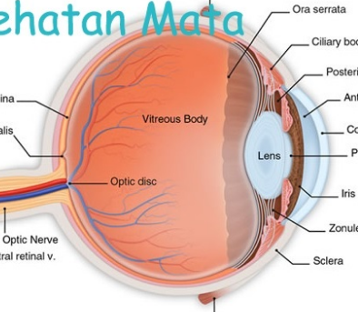 Cara merawat kesehatan mata