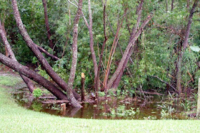 storm water drain creates a pond