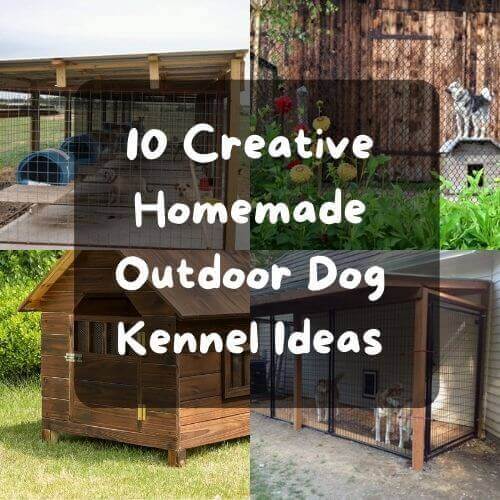 10 Creative Homemade Outdoor Dog Kennel Ideas | Make Your Pup's Tail Wag!