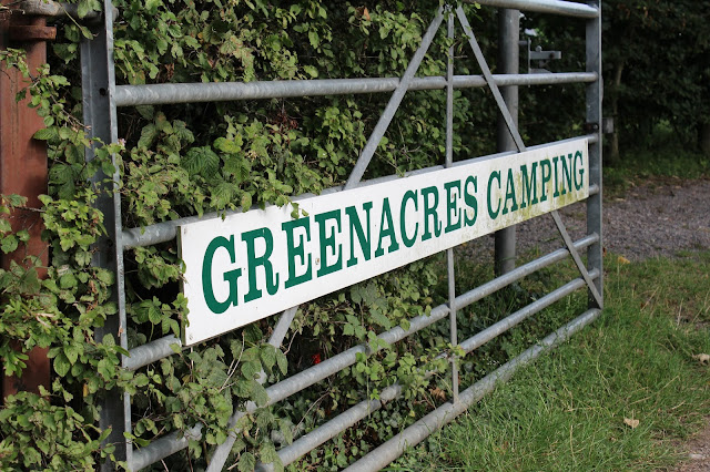 Greenacres Camping // 76sunflowers