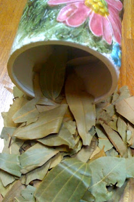 Bay Leaves (cassia) - Tej paat, Tej-patta - (तेजपत्ता)