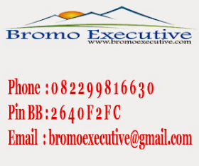 Bromo Executive