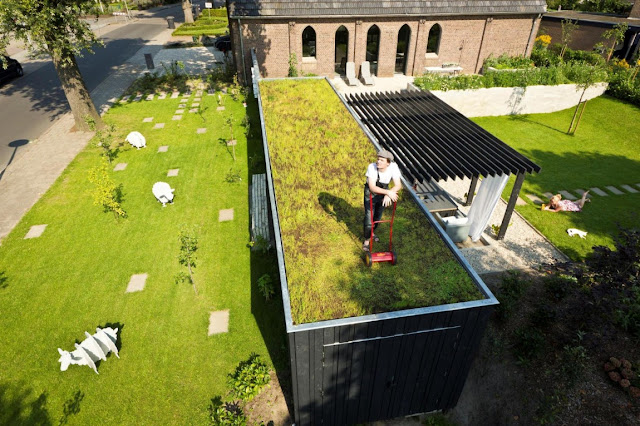 Picture of man mowing the grass on the roof of the terrace