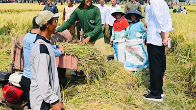 Panen Raya di Indramayu, Presiden Sebut Pemerintah Tetap Menambah Cadangan Beras