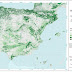 España, de los países que lideran el crecimiento de los bosques a
nivel mundial