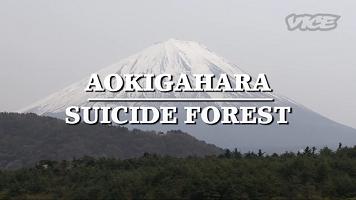 aokigahara floresta suicídios