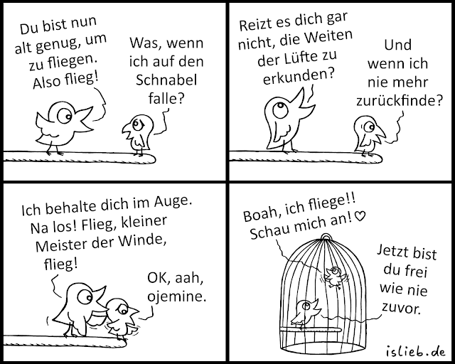 Fliegen lernen Comic