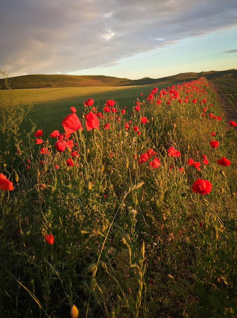 Around Kåseberga, Sweden