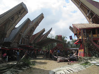 tana toraja sulawesi indonesia