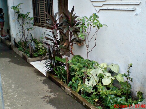 Halaman depan rumah di pasar rebo 2