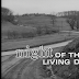 Yeah, They're Dead. They're All Messed Up. Night of the Living Dead Blu-ray Review + Screenshots