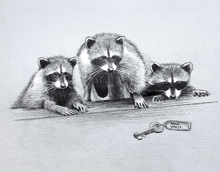 04-Raccoon-bank-heist-Animal-Drawings-Jonny-Seymour-www-designstack-co