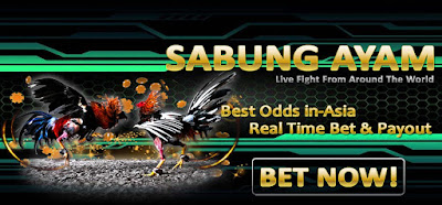 Bandar Online Judi Sv388 Sabung Ayam Live Streaming Uang Asli