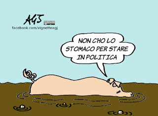 scrofa, dibattito politico, insulti, satira, vignetta