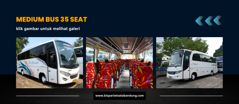 Bus Medium 35 Seat Jetbus