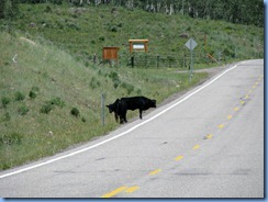 4501 Scenic Byway 12 UT
