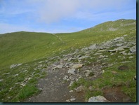 DSCN6599