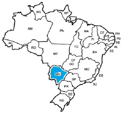 http://rmtonline.globo.com/hotsites/ms/MeuMS/
