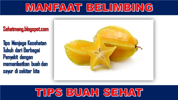 Manfaat Buah Belimbing Pada Tubuh