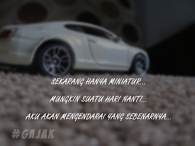 Miniatur Quotes