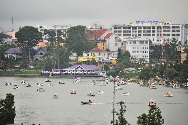 Đàn vịt trời