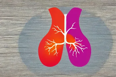 Our lungs play a vital role in our respiratory system