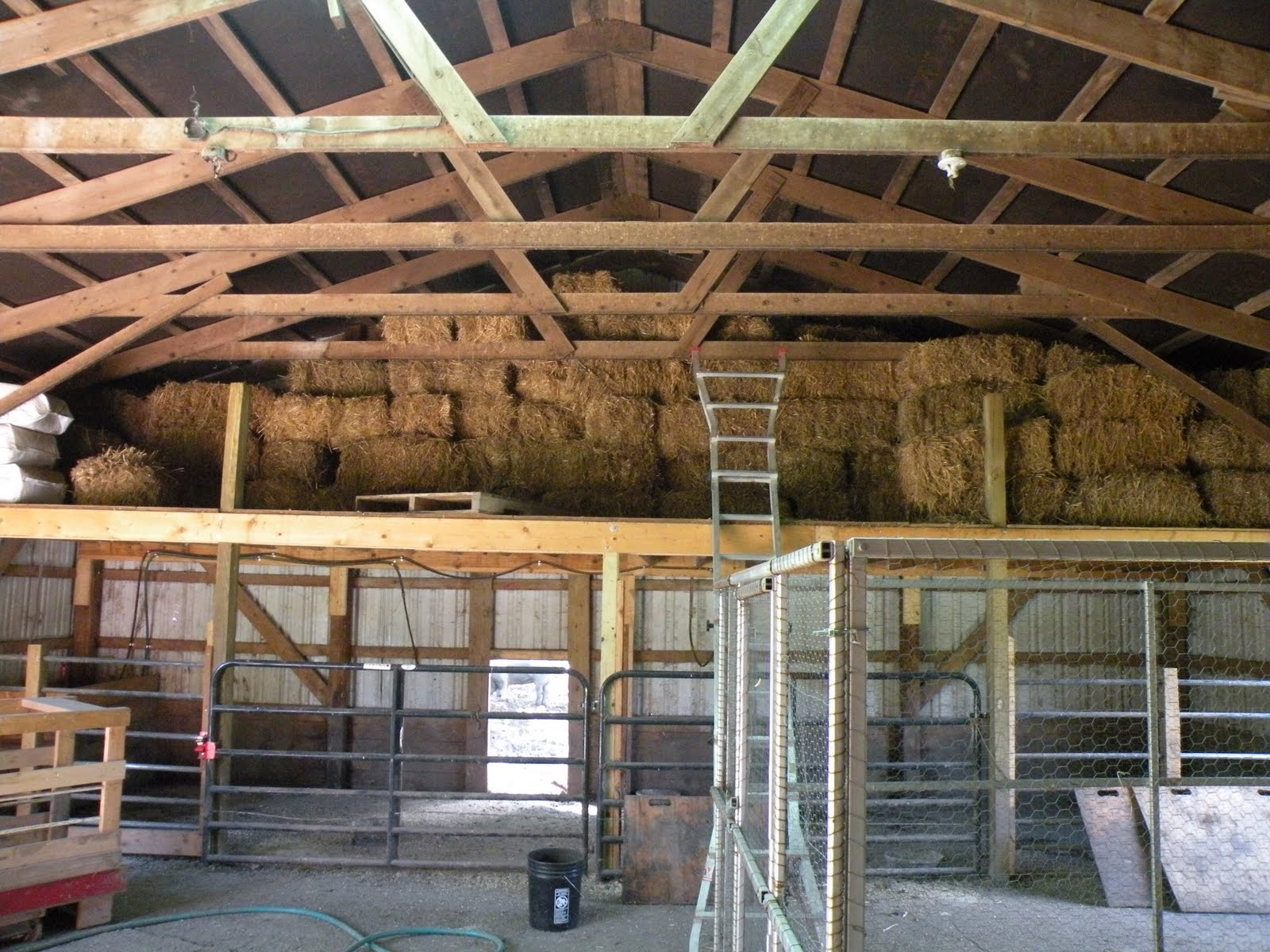 Story Barn: STURGIS BARNS: Homes of Curly &amp; Chevy