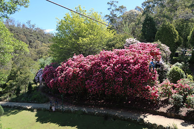 Cataract Gorge Reserve