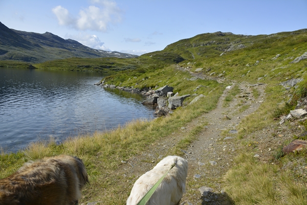 Iungsdalen Iungsdalshytta Tovika