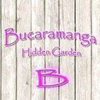 Bucaramanga Hidden Garden