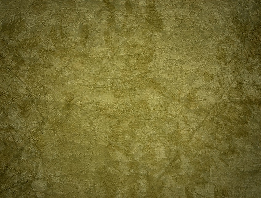 Pressed_Leaves_Texture_2_by_FantasyStock