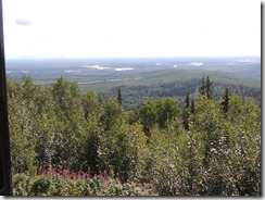 DSCN4509