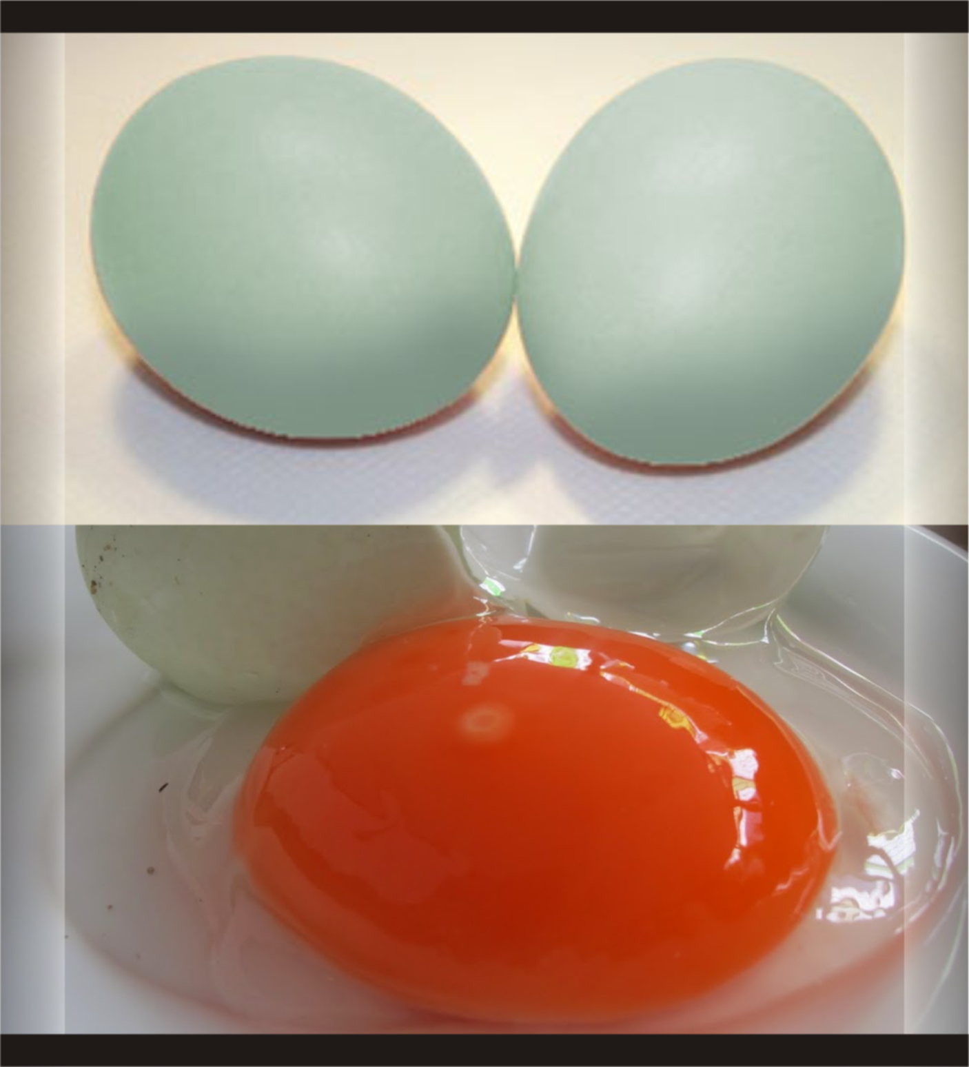 Ngetsa Ini Manfaat Telur Bebek Yang Bisa Kalahkan Obat Dokter Dan