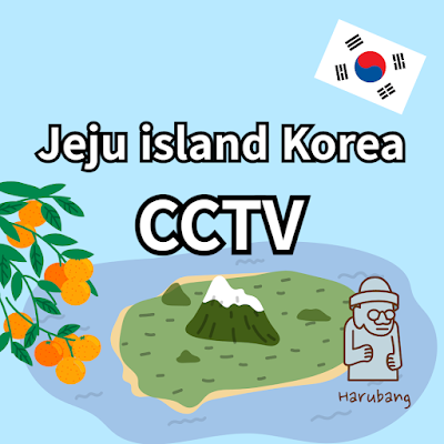 A real-time site in Jeju Island, Korea