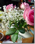 CIMG0245