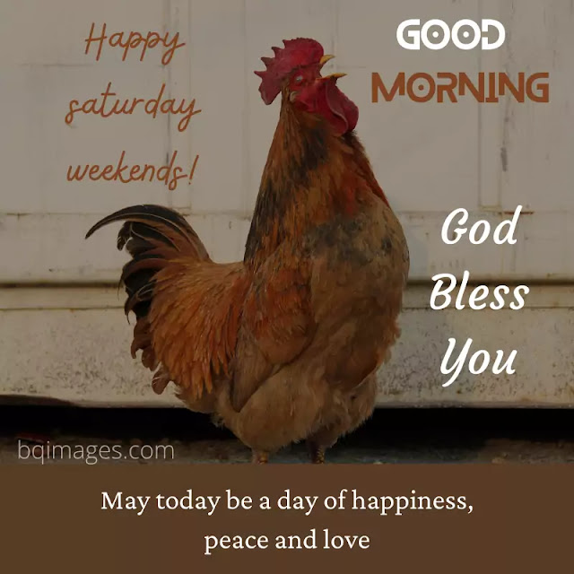 good morning happy weekends image good morning happy weekends image
