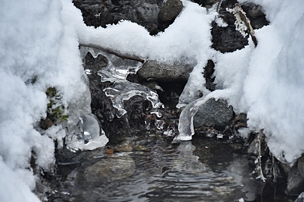 tåke rim skautur
