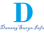 danangsuryo.info