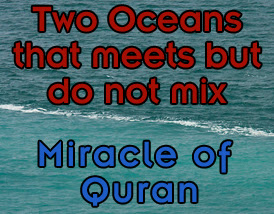 Islamic Paradise Two Oceans That Meets But Do Not Mix Miracle Of Quran