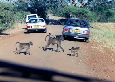 kruger south africa