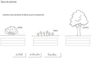 http://www.ceiploreto.es/sugerencias/cp.juan.de.la.cosa/Actividades%20PDI%20Cono/01/10/04/011004.swf